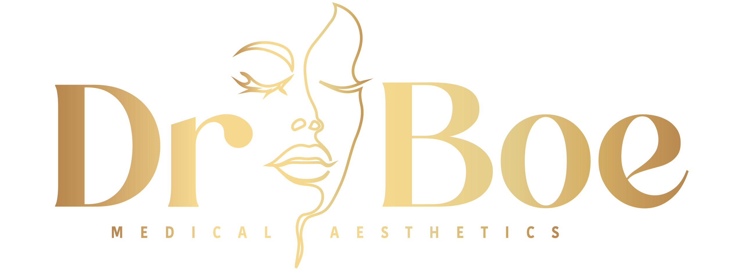 Logo Dr. Boe Logo